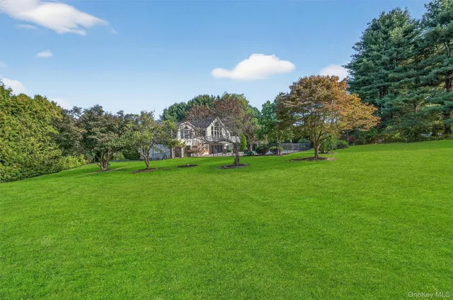 a view of yard with grass & trees