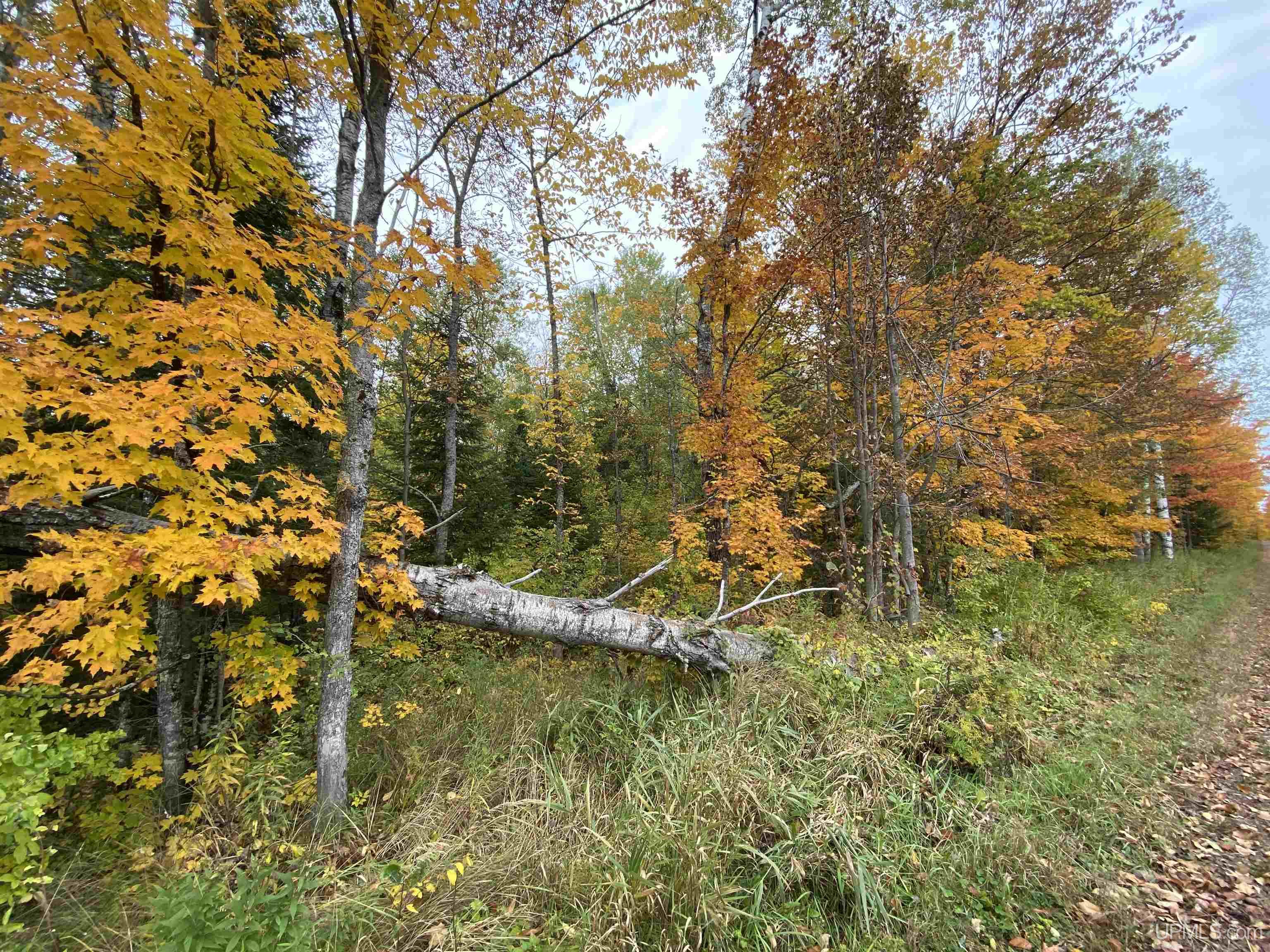 Tbd Tbd Heikkala Road Bessemer, MI 49911 - Photo 2 of 7