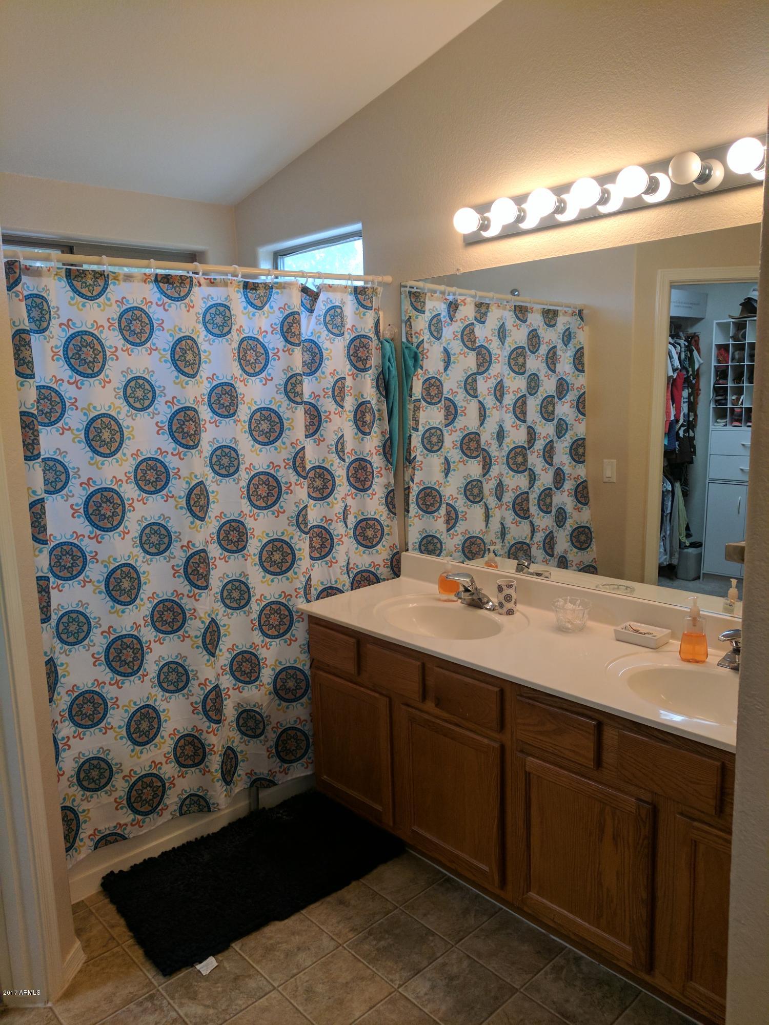 13383 West Redfield Road Surprise, AZ 85379 - Photo 18 of 26 Master Bathroom