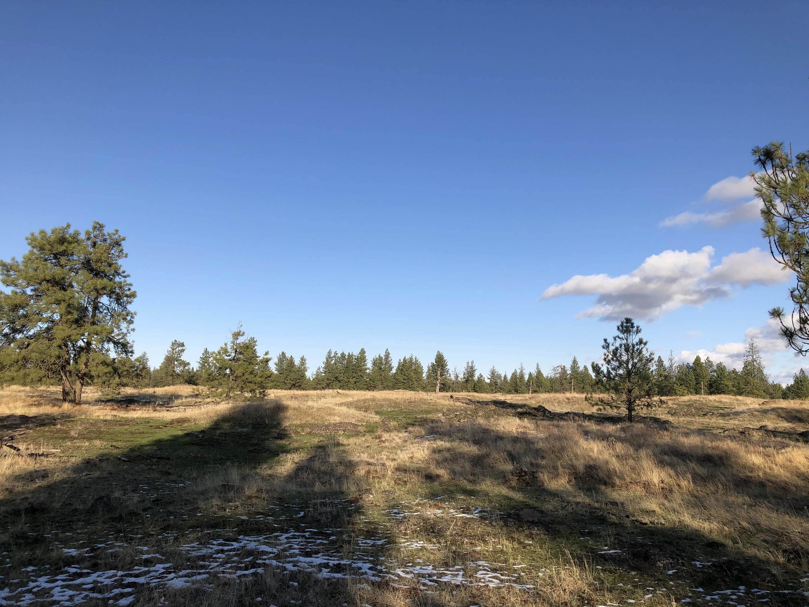 21-xxx South Harrison Road Edwall, WA 99008 - Photo 15 of 17