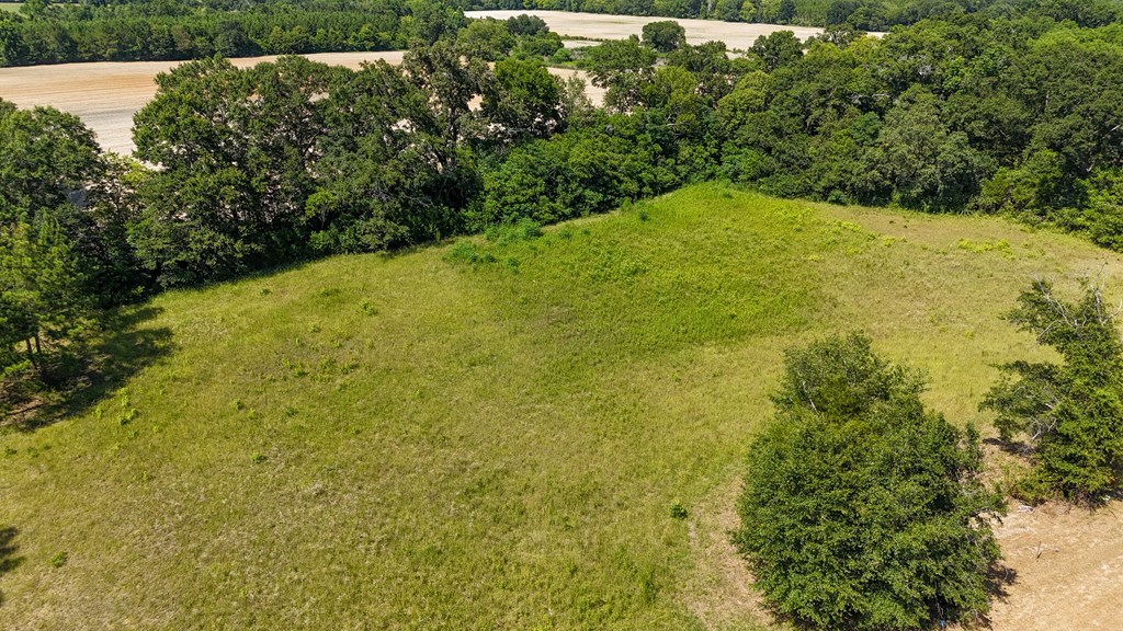 0 Main Street Headland, AL 36345 - Photo 2 of 12