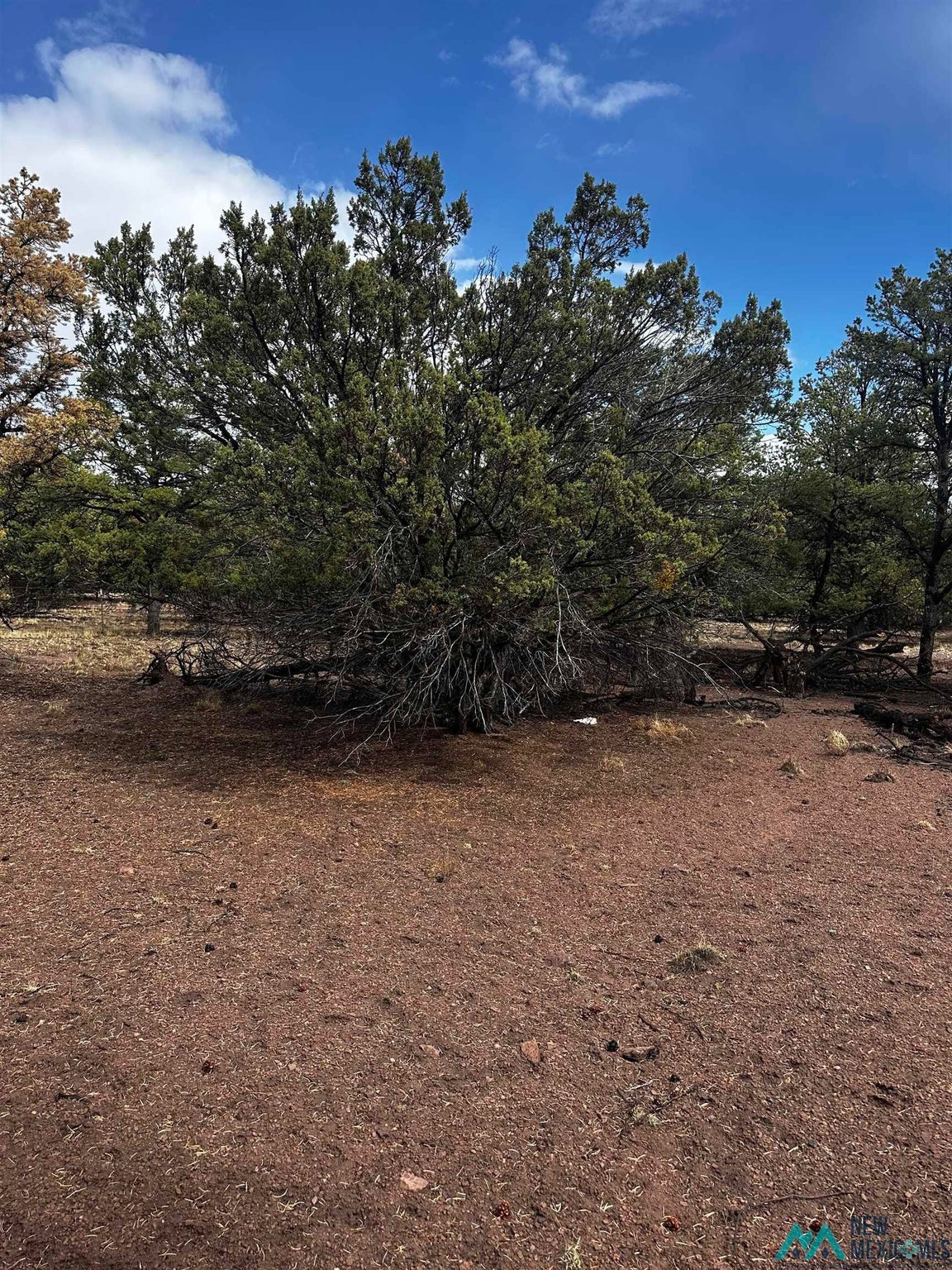 9 Juniper Way Datil, NM 87821 - Photo 3 of 13 Gallery Image 3