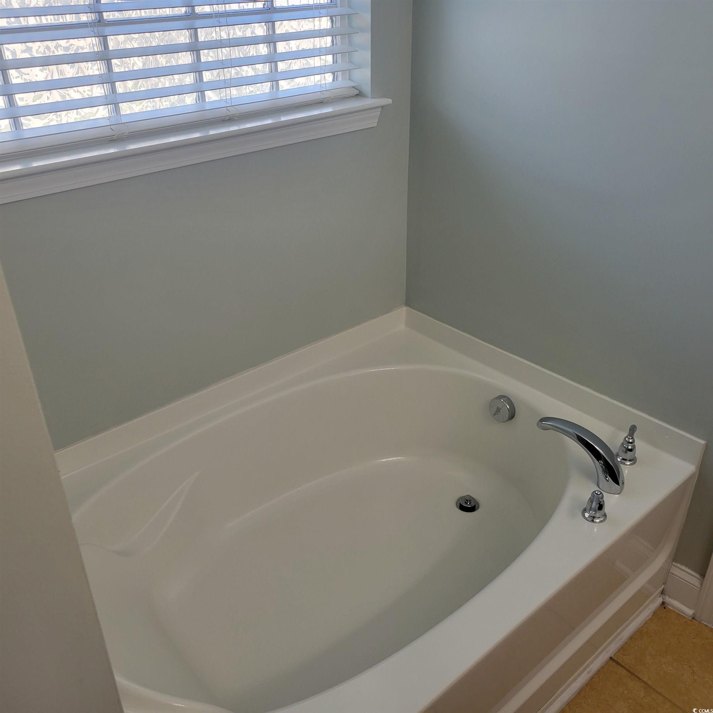 833 Tilly Lake Road Conway, SC 29526 - Photo 16 of 39 Full bathroom featuring a garden tub and tile patterned flooring