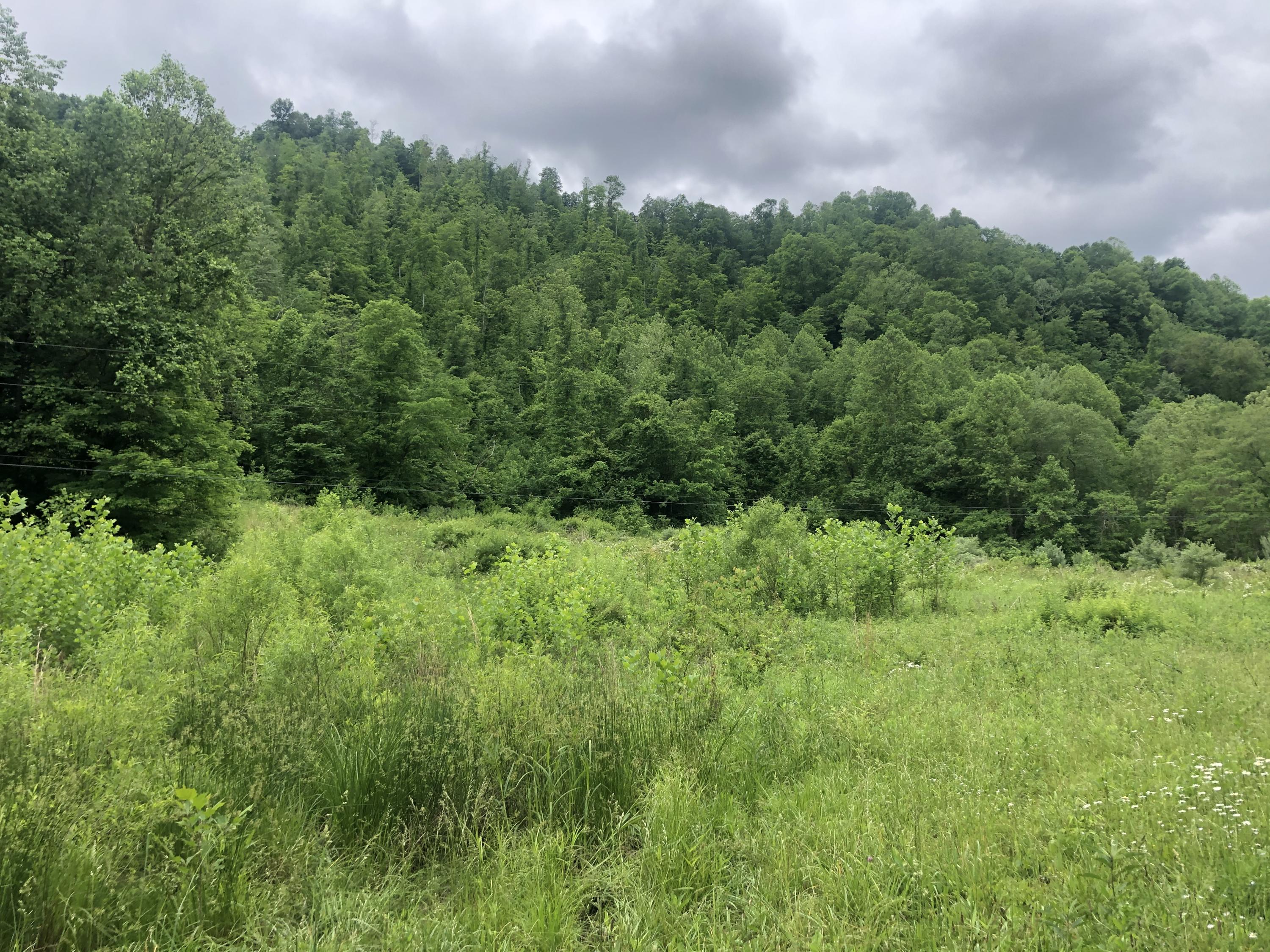 26 Bailey Branch Road Walker, KY 40997 - Photo 2 of 43 IMG_7079
