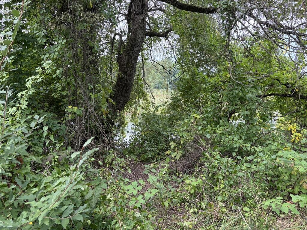 10399 Condit Road Albion, MI 49224 - Photo 37 of 47 Glimpse of river