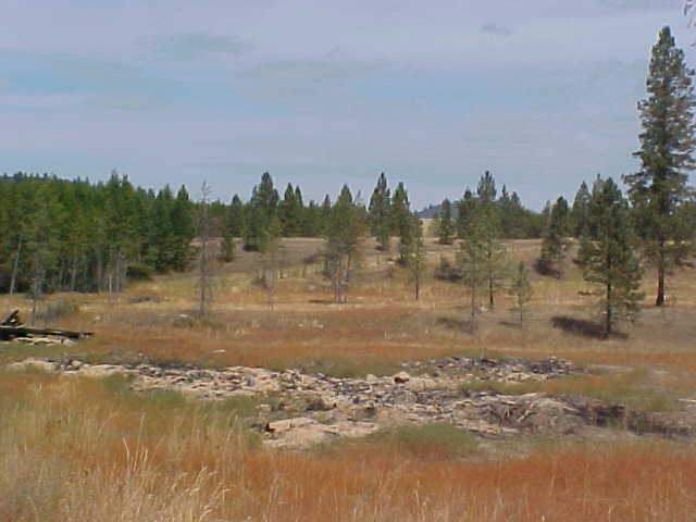 13315 Fridegar Edwall, WA 99008 - Photo 3 of 5