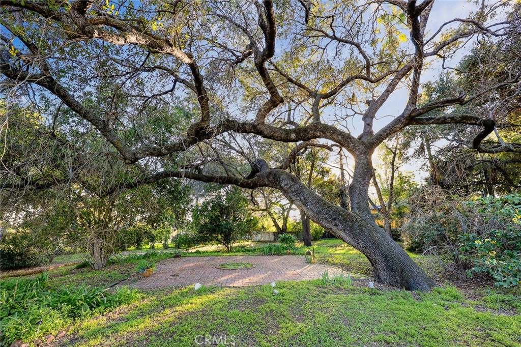 1110 Fallen Leaf Road Arcadia, CA 91006 - Photo 34 of 38 a view of yard with green space