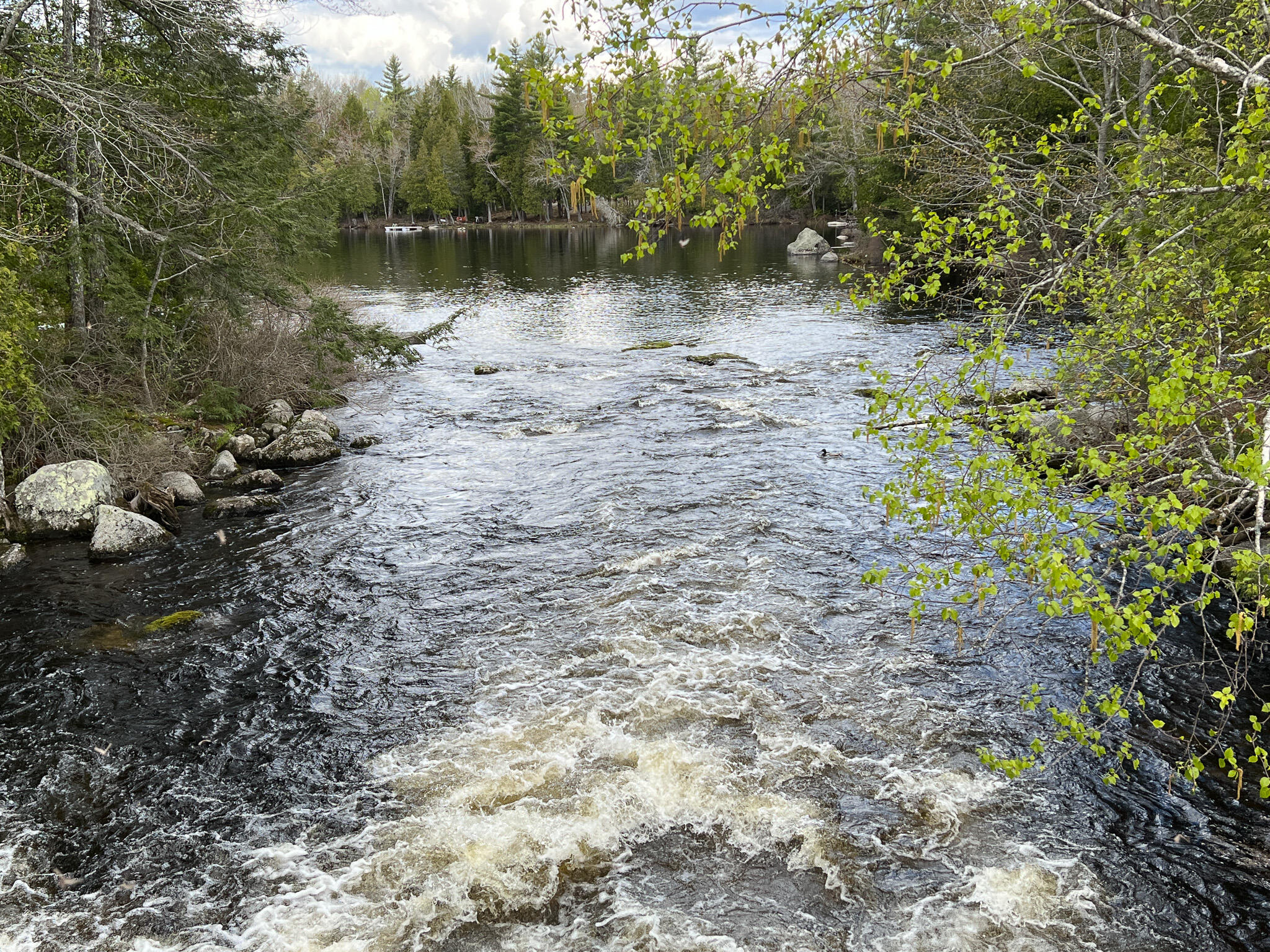 Lot 25.11 Nicatous Stream Road Burlington, ME 04417 - Photo 28 of 29 26