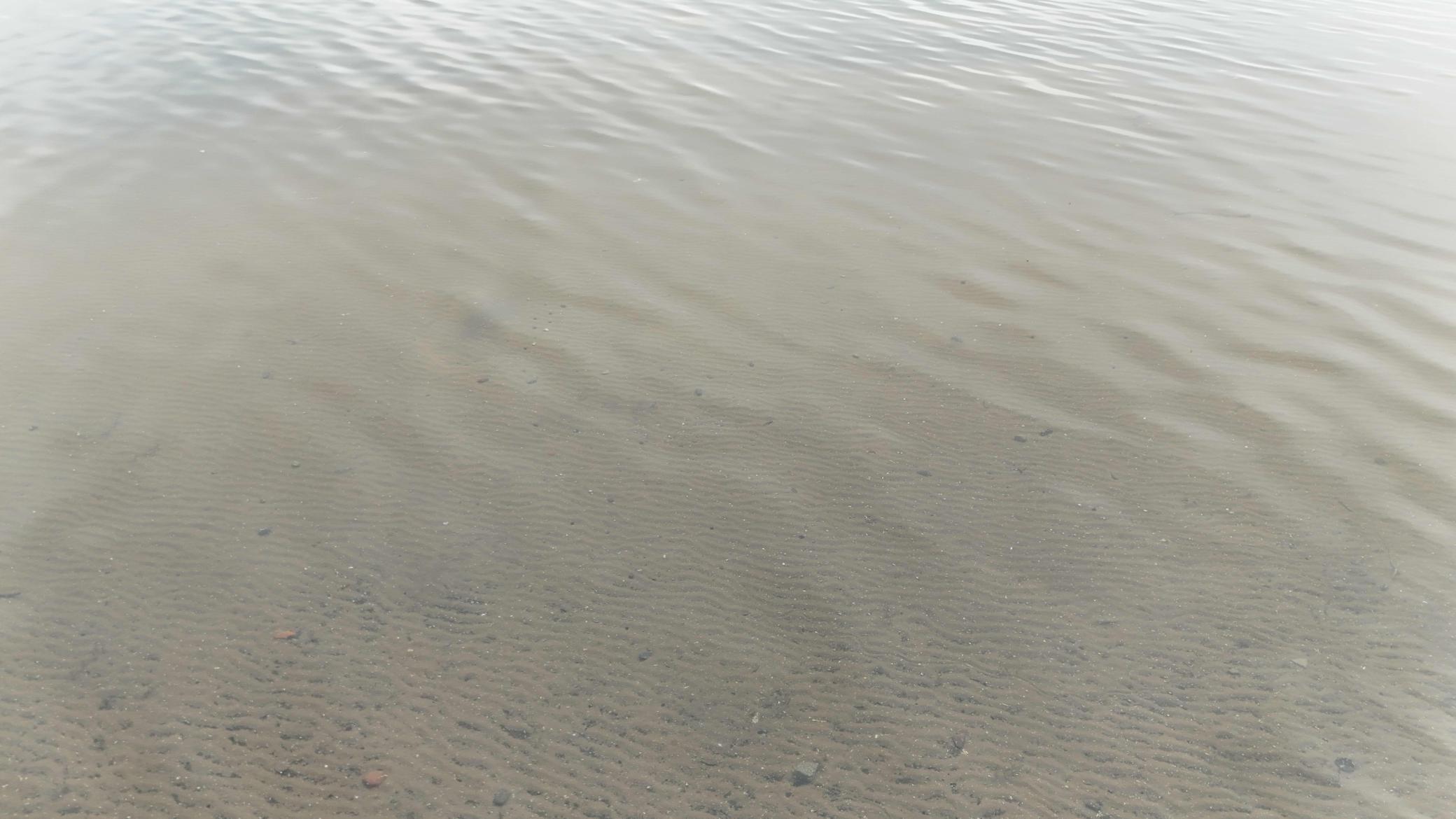 27762 Leef Road Webster, WI 54893 - Photo 7 of 33