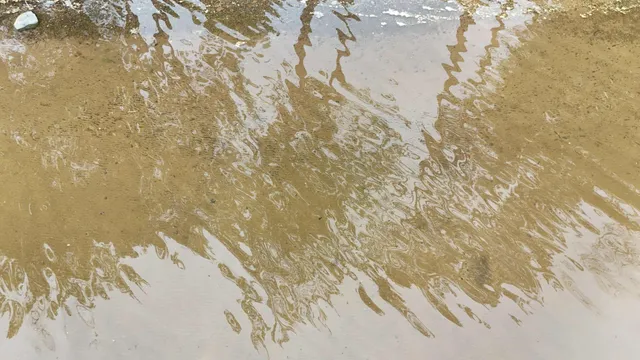 $525,000 | 27762 Leef Road, Webster, WI 54893