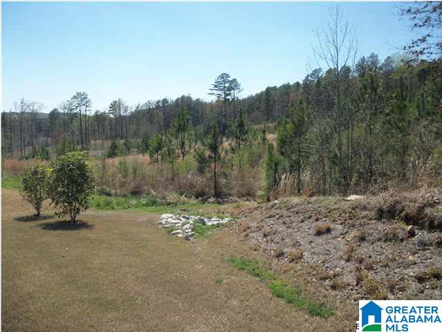 952 Narrows Point Drive Birmingham, AL 35242 - Photo 17 of 18