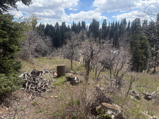 2211 Pine Loop Road, Unit 64 Coalville, UT 84017 - Photo 6 of 20 View of nature