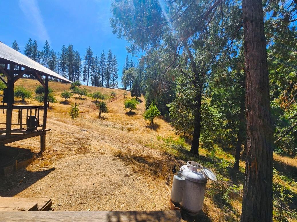 8822 Bailey Ridge Road Wilseyville, CA 95257 - Photo 18 of 40 Gallery Image 18