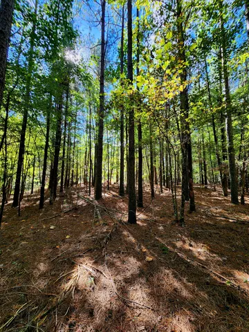 $34,000 | 0 Ridge Wood Lane, Unit 392, Spencer, TN 38585