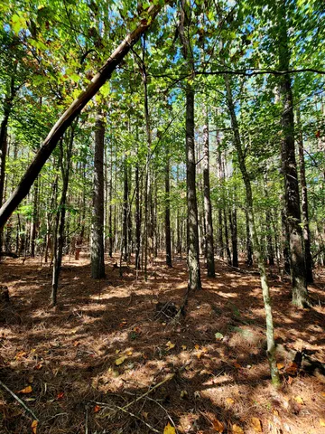 $34,000 | 0 Ridge Wood Lane, Unit 392, Spencer, TN 38585