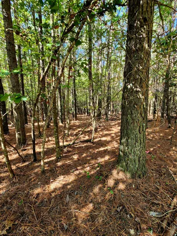 $34,000 | 0 Ridge Wood Lane, Unit 392, Spencer, TN 38585