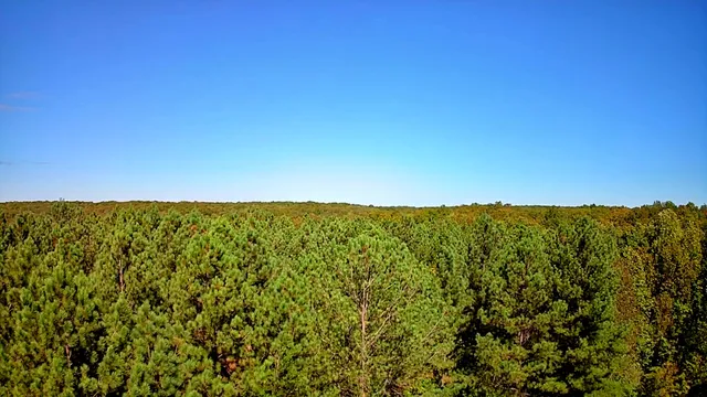 $34,000 | 0 Ridge Wood Lane, Unit 392, Spencer, TN 38585