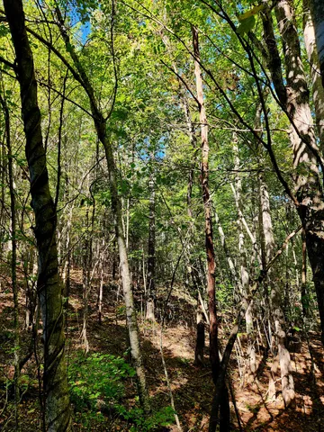 $34,000 | 0 Ridge Wood Lane, Unit 392, Spencer, TN 38585