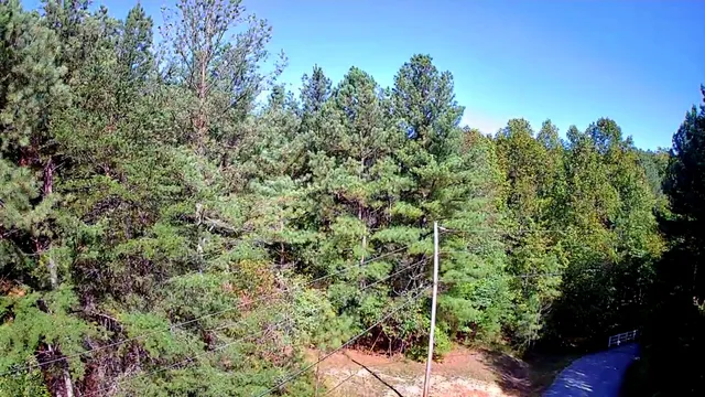 $34,000 | 0 Ridge Wood Lane, Unit 392, Spencer, TN 38585