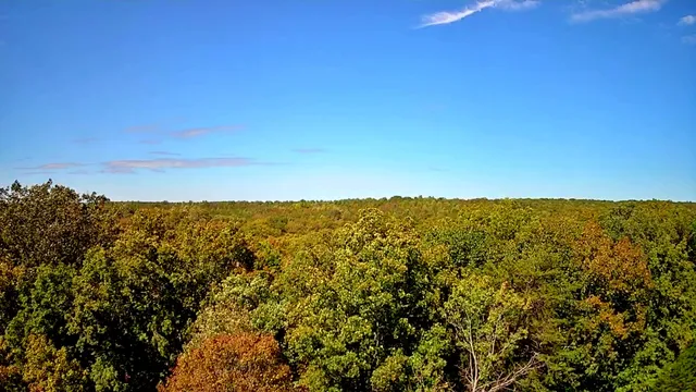 $34,000 | 0 Ridge Wood Lane, Unit 392, Spencer, TN 38585