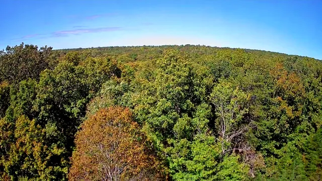 $34,000 | 0 Ridge Wood Lane, Unit 392, Spencer, TN 38585