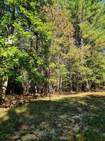 $34,000 | 0 Ridge Wood Lane, Unit 392, Spencer, TN 38585