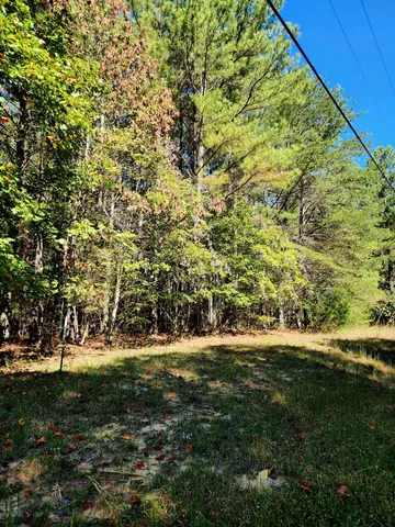 $34,000 | 0 Ridge Wood Lane, Unit 392, Spencer, TN 38585