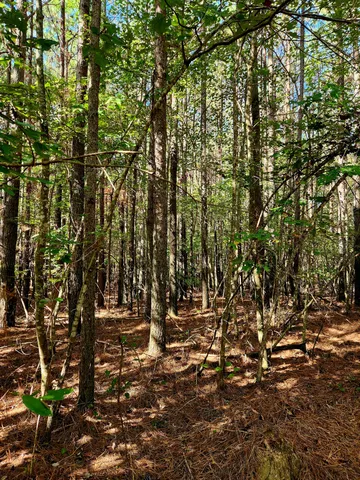 $34,000 | 0 Ridge Wood Lane, Unit 392, Spencer, TN 38585