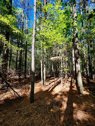 $34,000 | 0 Ridge Wood Lane, Unit 392, Spencer, TN 38585