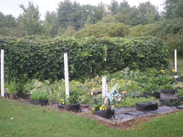 3 County Rt 38 Constable, NY 12926 - Photo 23 of 26 Gallery Image 23