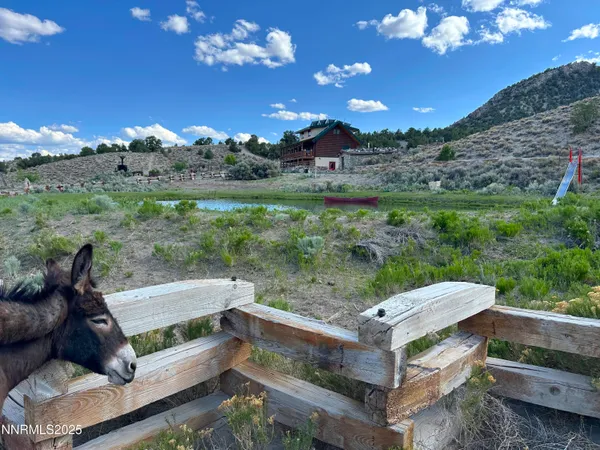 $1,450,000 | 3350 Ikes Cyn Road, Round Mountain, NV 89045