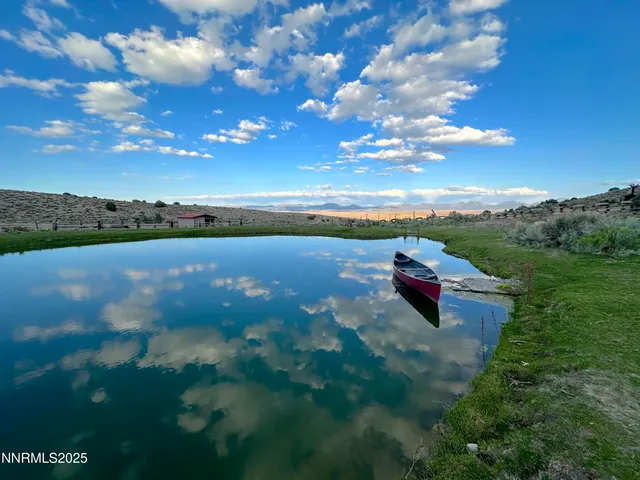 a view of a pathway with a yard