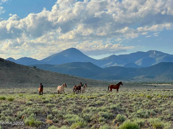 $1,450,000 | 3350 Ikes Cyn Road, Round Mountain, NV 89045