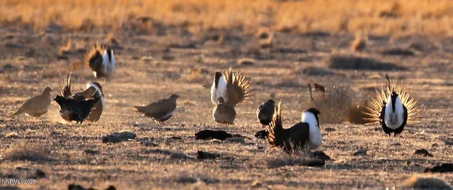 a view of a backyard of the house