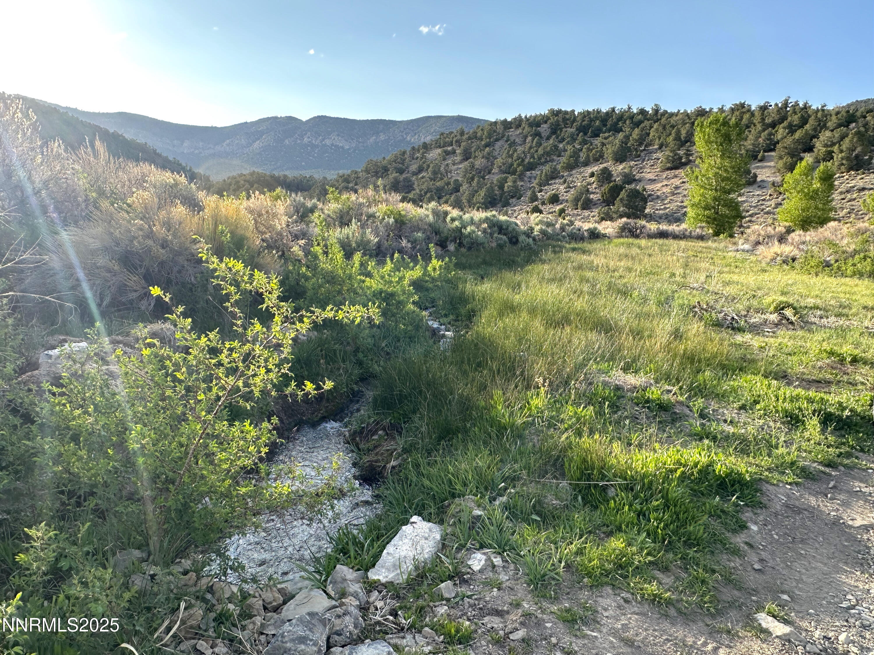 3350 Ikes Cyn Road Round Mountain, NV 89045 - Photo 35 of 38 a view of a lake with mountains in the background