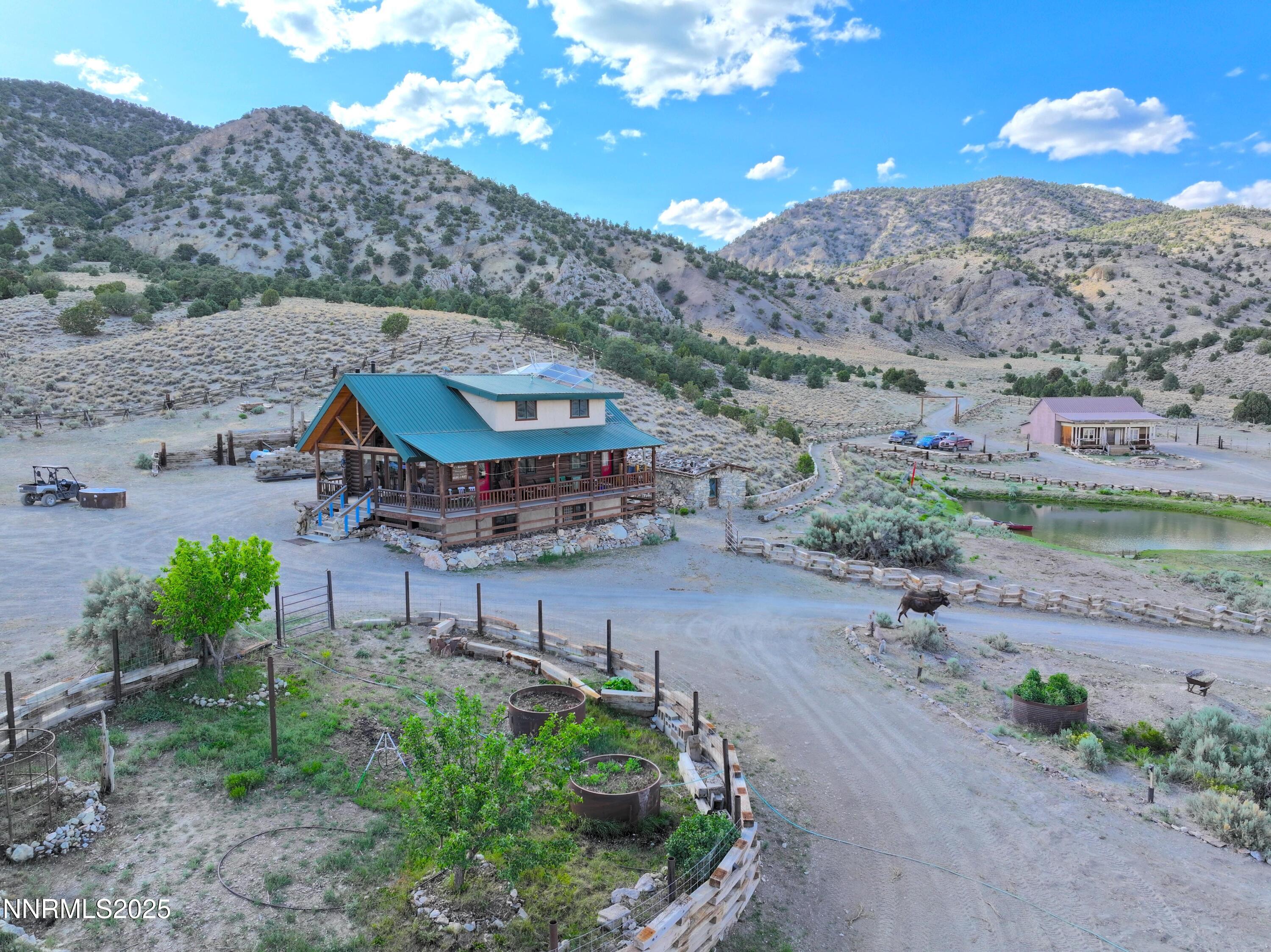 3350 Ikes Cyn Road Round Mountain, NV 89045 - Photo 6 of 38 a view of a backyard with plants and a mountain