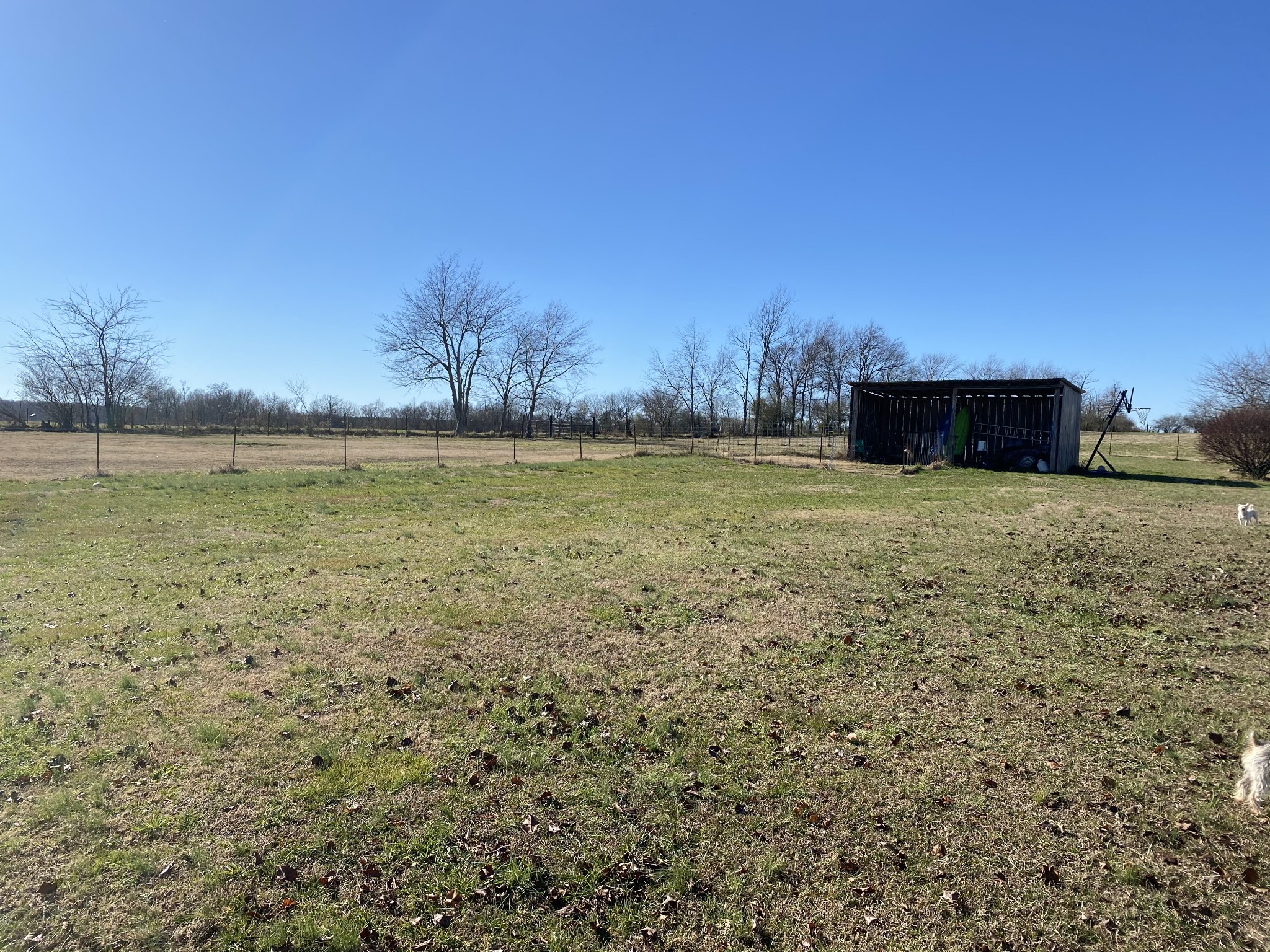 123 Staggs Road Ethridge, TN 38456 - Photo 18 of 21 Gallery Image 18