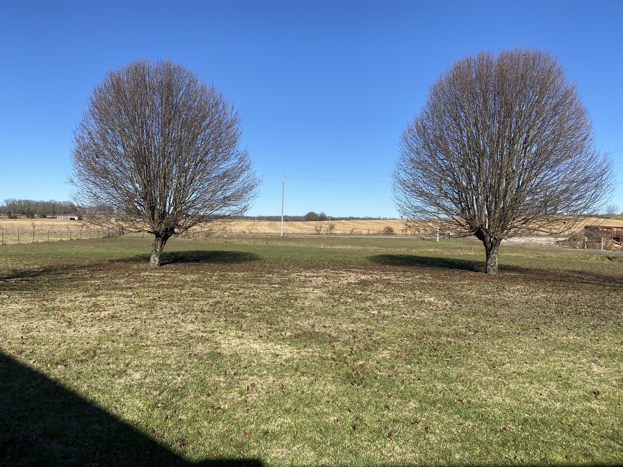 123 Staggs Road Ethridge, TN 38456 - Photo 19 of 21 Gallery Image 19