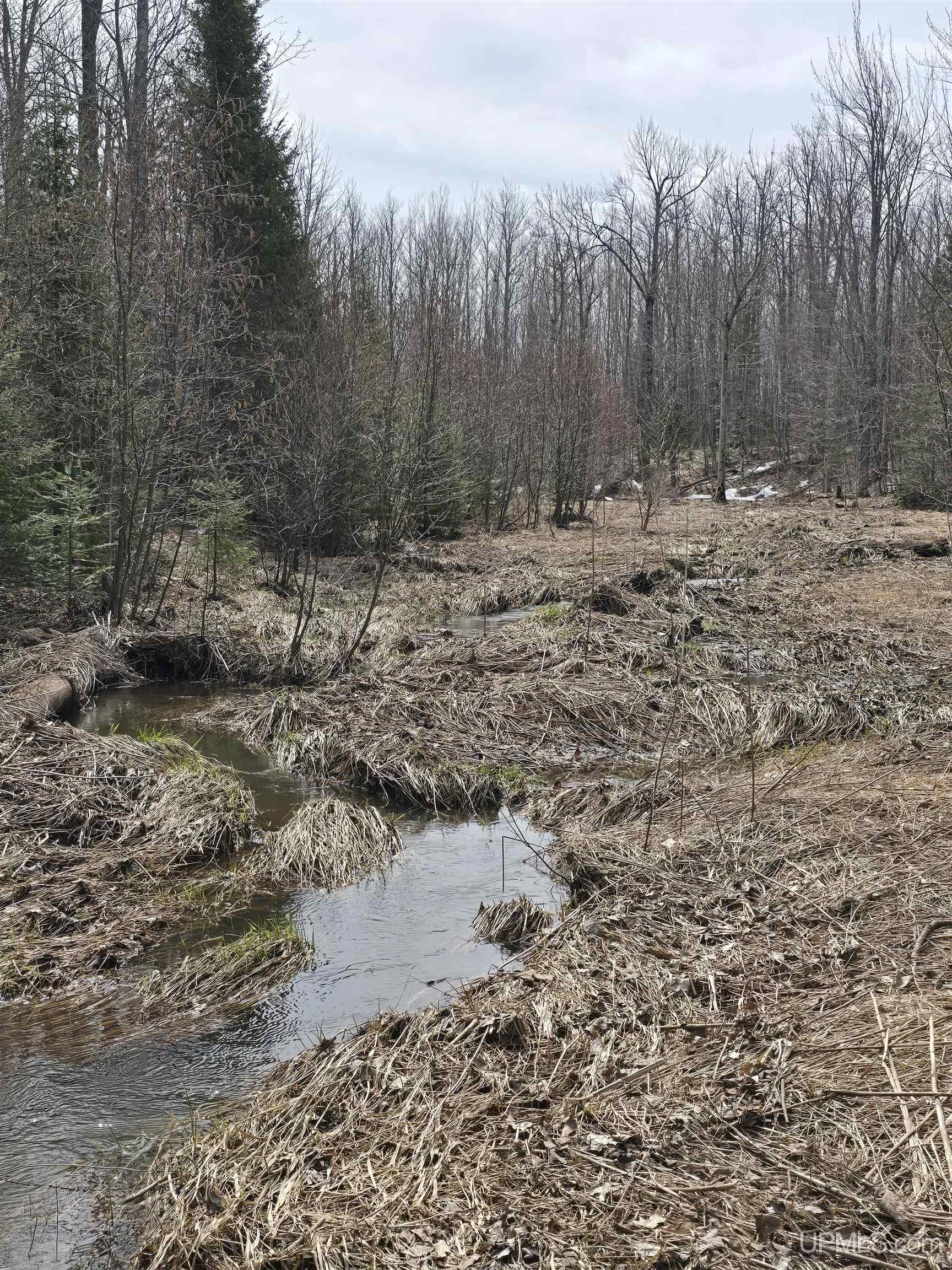 Tbd Woodspur Road Ontonagon, MI 49953 - Photo 12 of 46