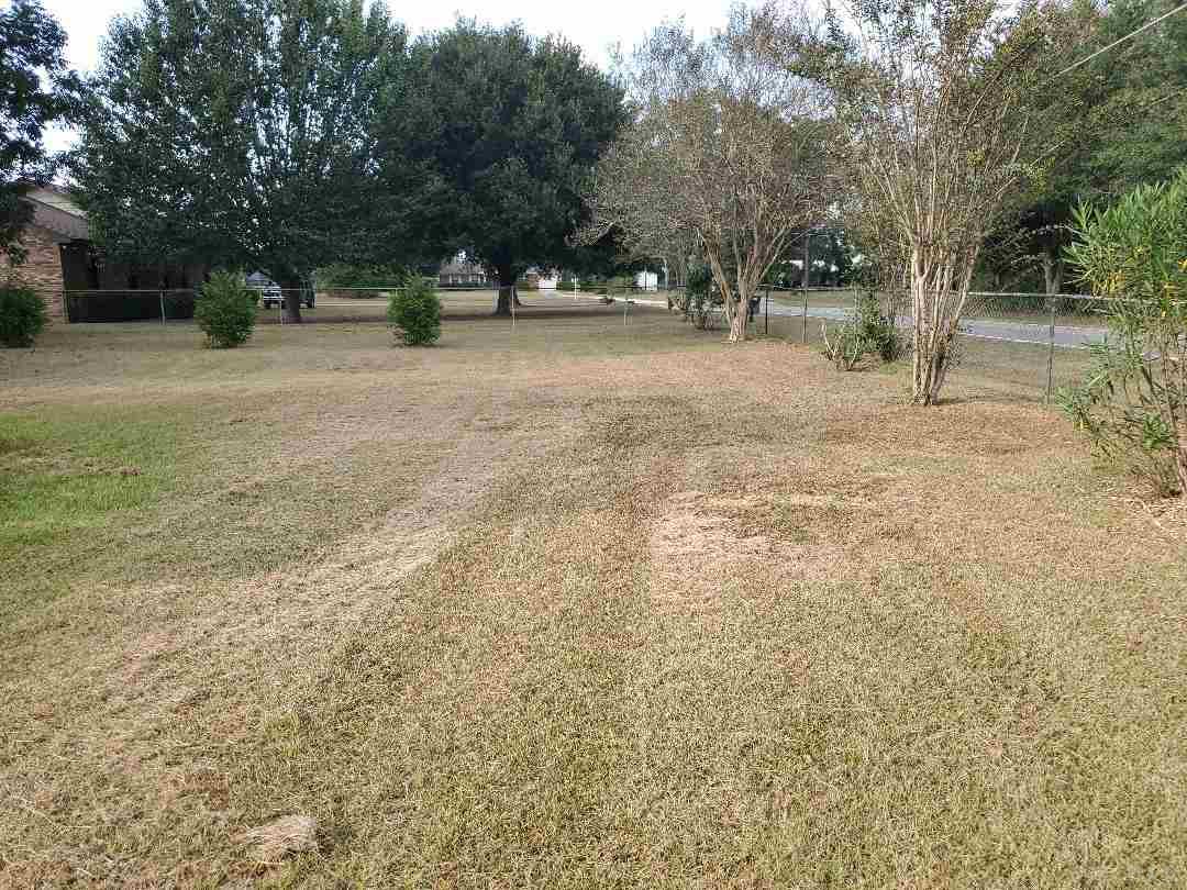5793 Schaag Road Molino, FL 32577 - Photo 4 of 7