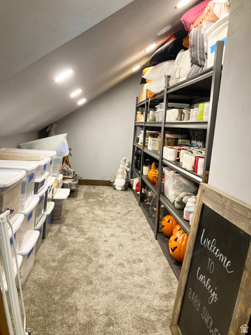 259 Meadow Drive Springville, UT 84663 - Photo 56 of 62 View of storage area