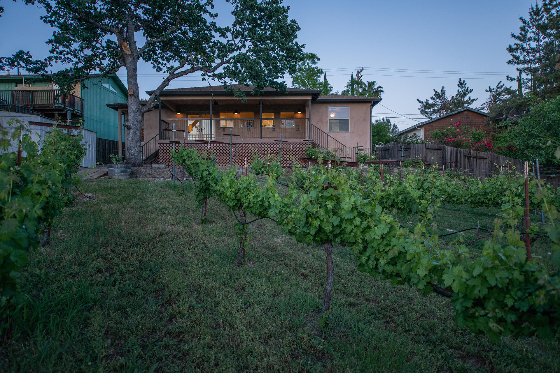 634 Ridge Road Redding, CA 96003 - Photo 30 of 33 Backyard
