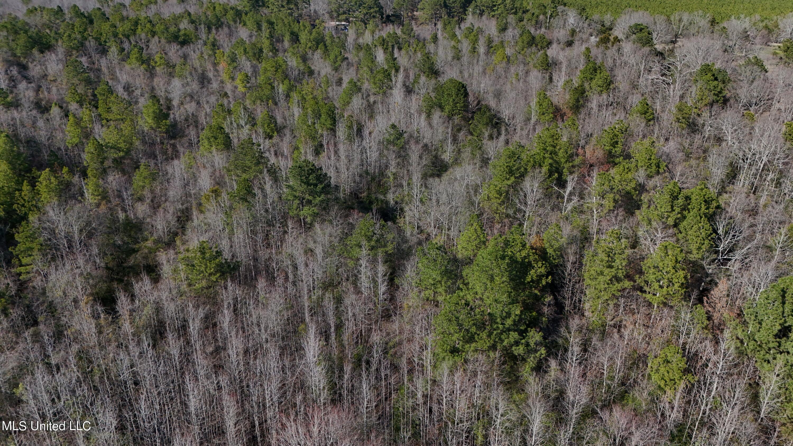Stratton Rd Rd Union Decatur, MS 39327 - Photo 15 of 18 DJI_20240218150458_0038_D