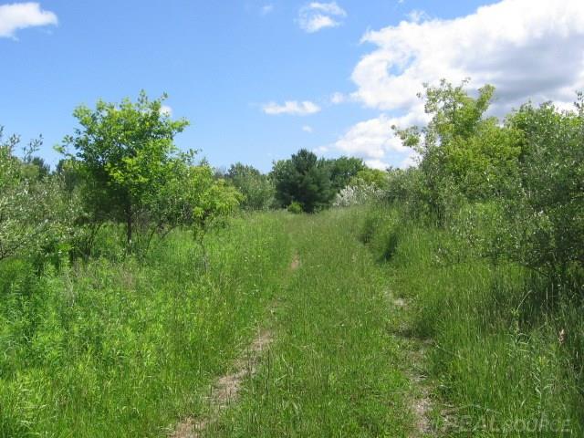 Tbd Burns Line Croswell, MI 48422 - Photo 1 of 19