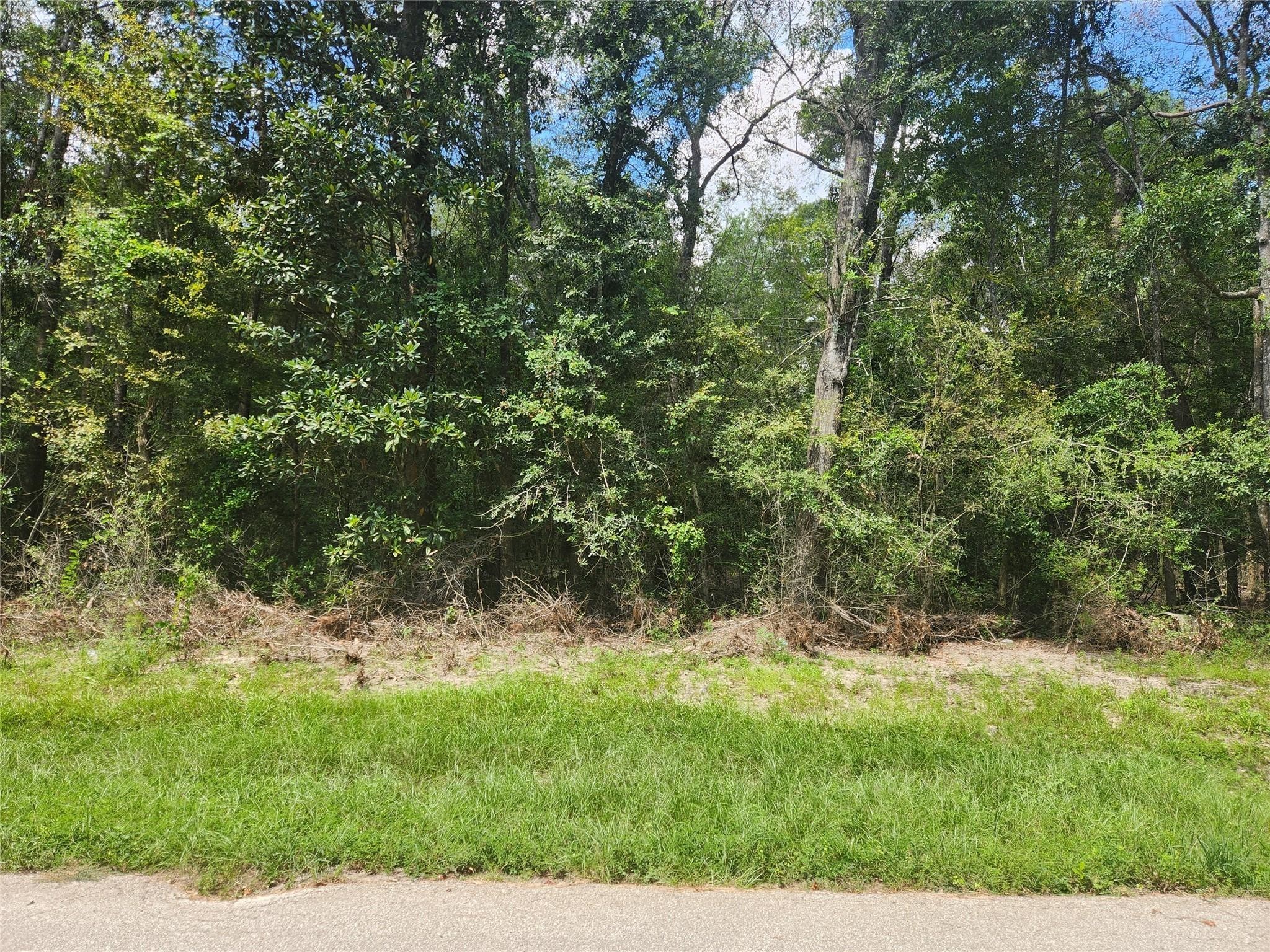 a view of a yard with a tree