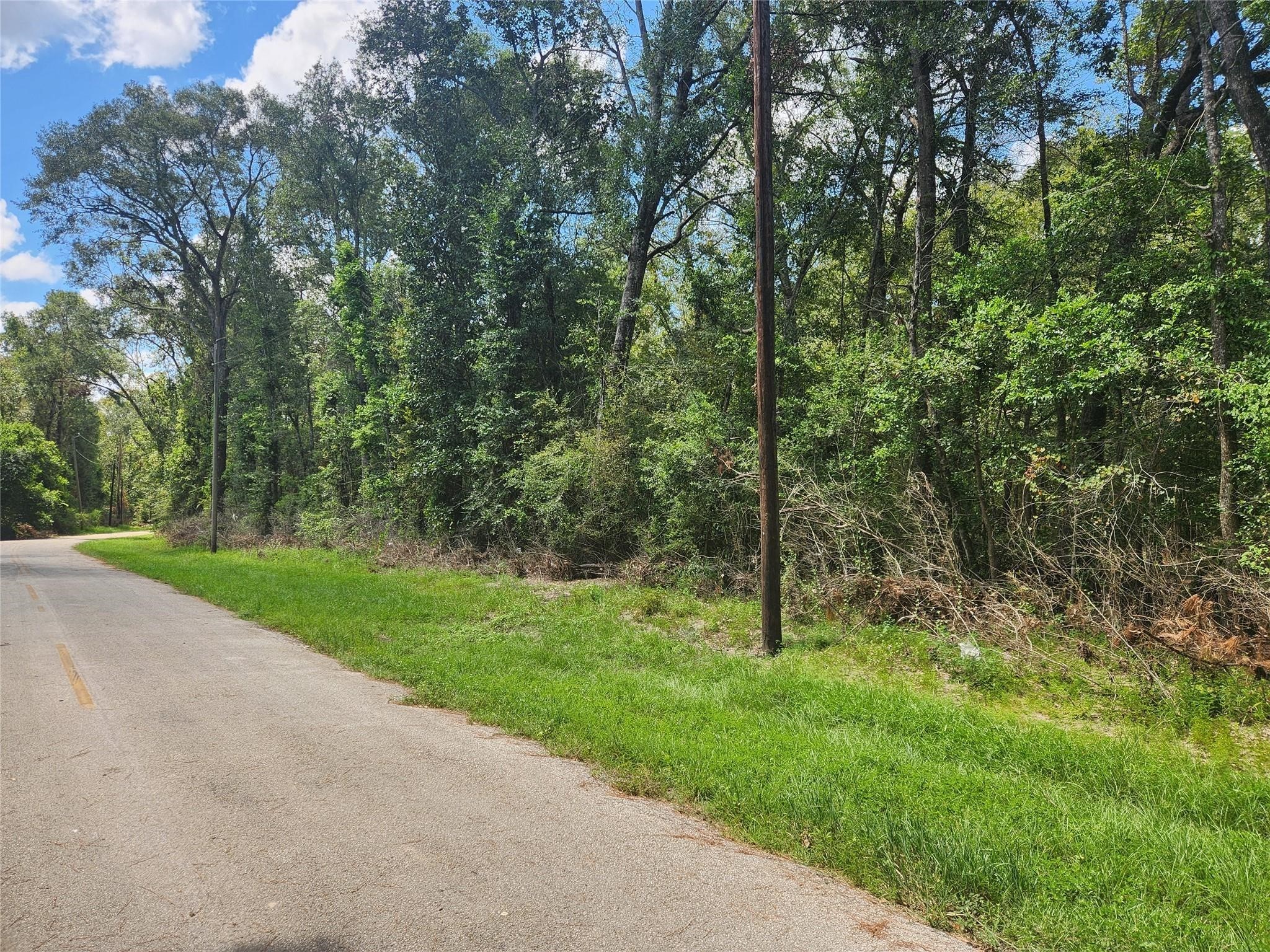 Tbd Tbd Idlewood Rdwy New Caney, TX 77357 - Photo 4 of 7 a view of outdoor space and yard