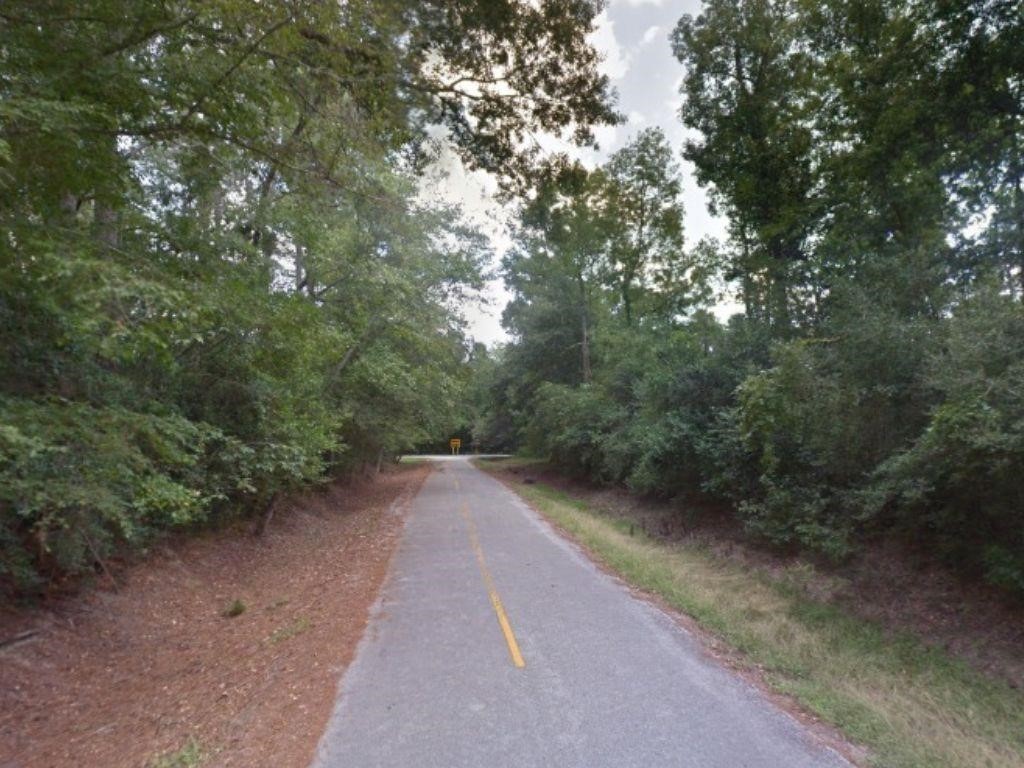 Tbd Tbd Idlewood Rdwy New Caney, TX 77357 - Photo 6 of 7 a view of a dirt pathway both side of green trees