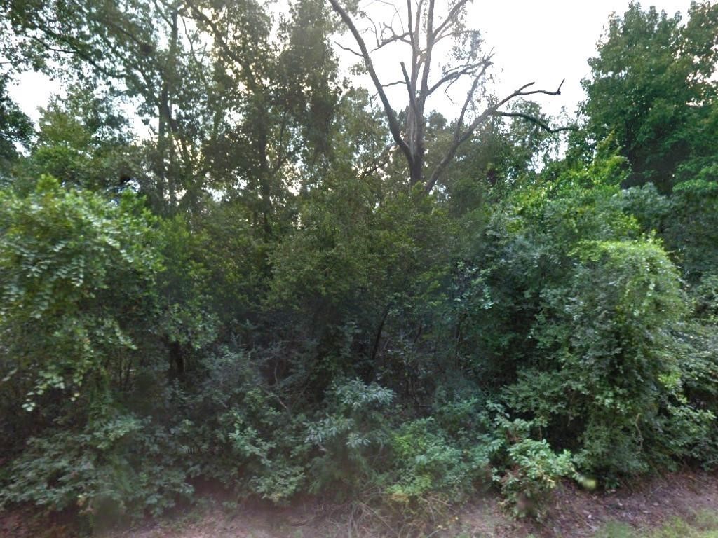 Tbd Tbd Idlewood Rdwy New Caney, TX 77357 - Photo 7 of 7 a view of a forest with lots of trees