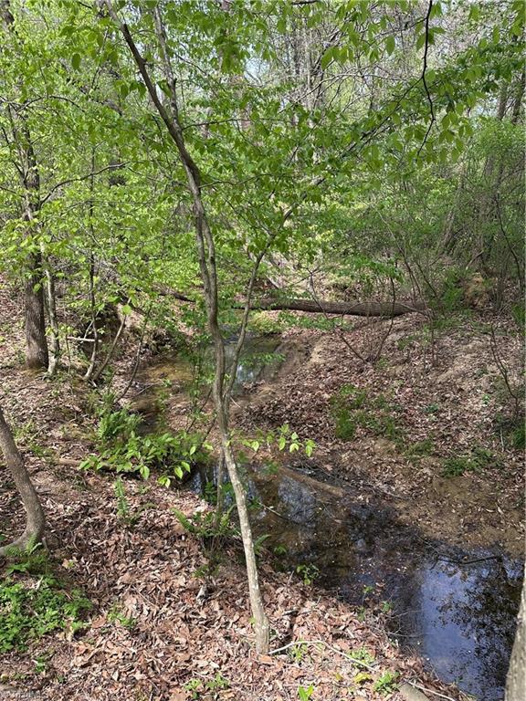 0 Will Boone Road Mocksville, NC 27028 - Photo 2 of 2