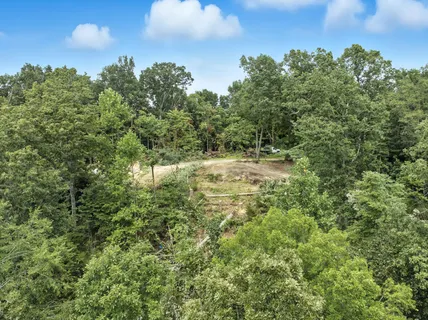 a view of a yard with a plants and trees